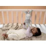 Jucarie Muzicala TAF TOYS - Iepurasul RYLEE