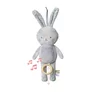 Jucarie Muzicala TAF TOYS - Iepurasul RYLEE