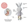 Jucarie Muzicala TAF TOYS - Iepurasul RYLEE