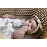 Jucarie / Paturica TAF TOYS - RYLEE The BUNNY