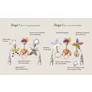 Jucarie Pentru Carucior TAF TOYS - Arcada - URBAN GARDEN