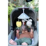 Jucarie Pentru Carucior TAF TOYS - Mini Carusel - URBAN GARDEN
