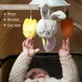 Jucarie Pentru Carucior TAF TOYS - Mini Carusel - URBAN GARDEN