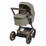 PK Carucior Maxi-Cosi FAME
