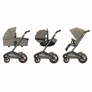 PK Carucior Maxi-Cosi FAME