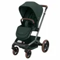 Carucior Maxi-Cosi FAME