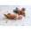 Covoras De Joaca TAF TOYS - XL - URBAN GARDEN