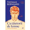 Ca tăietorii de lemne. O iritare - Thomas Bernhard
