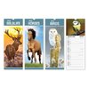 Calendar Slim model design animale salbatice
