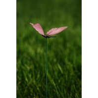 Fluture zburator pe tarus, 50 cm, 4 modele