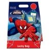 Lucky bag Spiderman 29 x 40 x 6 cm