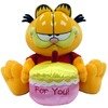 Jucarie de Plus Garfield Happy Birthday, 30.5 cm