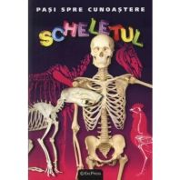 Pasi spre cunoastere - Scheletul