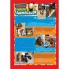 Revista Garfield Nr. 161-162