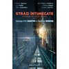 Strazi intunecate (antologie de urban fantasy  vol. 2)