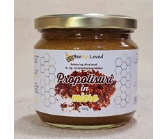 Amestec apicol cu propolisuri în miere 450g