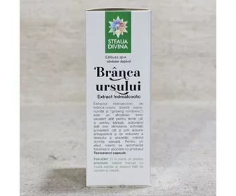 Extract din brânca ursului afrodiziac 50ml picture - 2