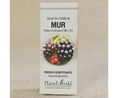 Extract din mlădițe de mur 50ml