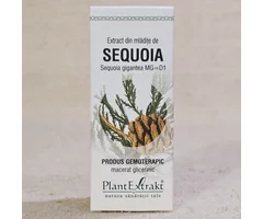 Extract din mlădițe de sequoia 50ml