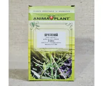 Lipicioasă 50g