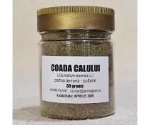 Coada calului bulbere 30g