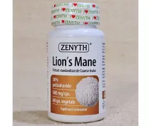Extract standardizat de coama leului 500mg/cps. 60 capsule