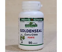 Goldenseal coptis C1000 forte 90 capsule