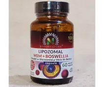 Lipozomal MSM+boswellia 60 capsule