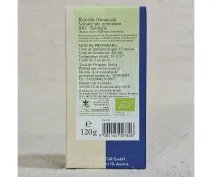 Semințe de rucola pentru germinare ECO 120g picture - 3