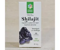 Shilajit pulbere de rășini pentru imunitate și vitalitate 60 capsule