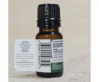 Ulei esențial de cimbru ECO 10ml picture - 3
