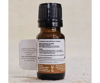 Ulei esențial de tea tree ECO 10ml picture - 2