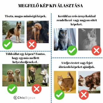 Gravírozott Fénykép Karkötő - Kutya Szeretet - 18K Sárga Aranyozott 925 Sterling Ezüst- Állítható Zsinór
