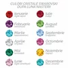 Choker cu initiala si cristal Swarovski - Argint 925 placat cu Aur Galben 18K  - Lant silicon