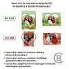 Medalion Amintiri in inima - Locket cu poze in interior - Argint 925 si email rosu