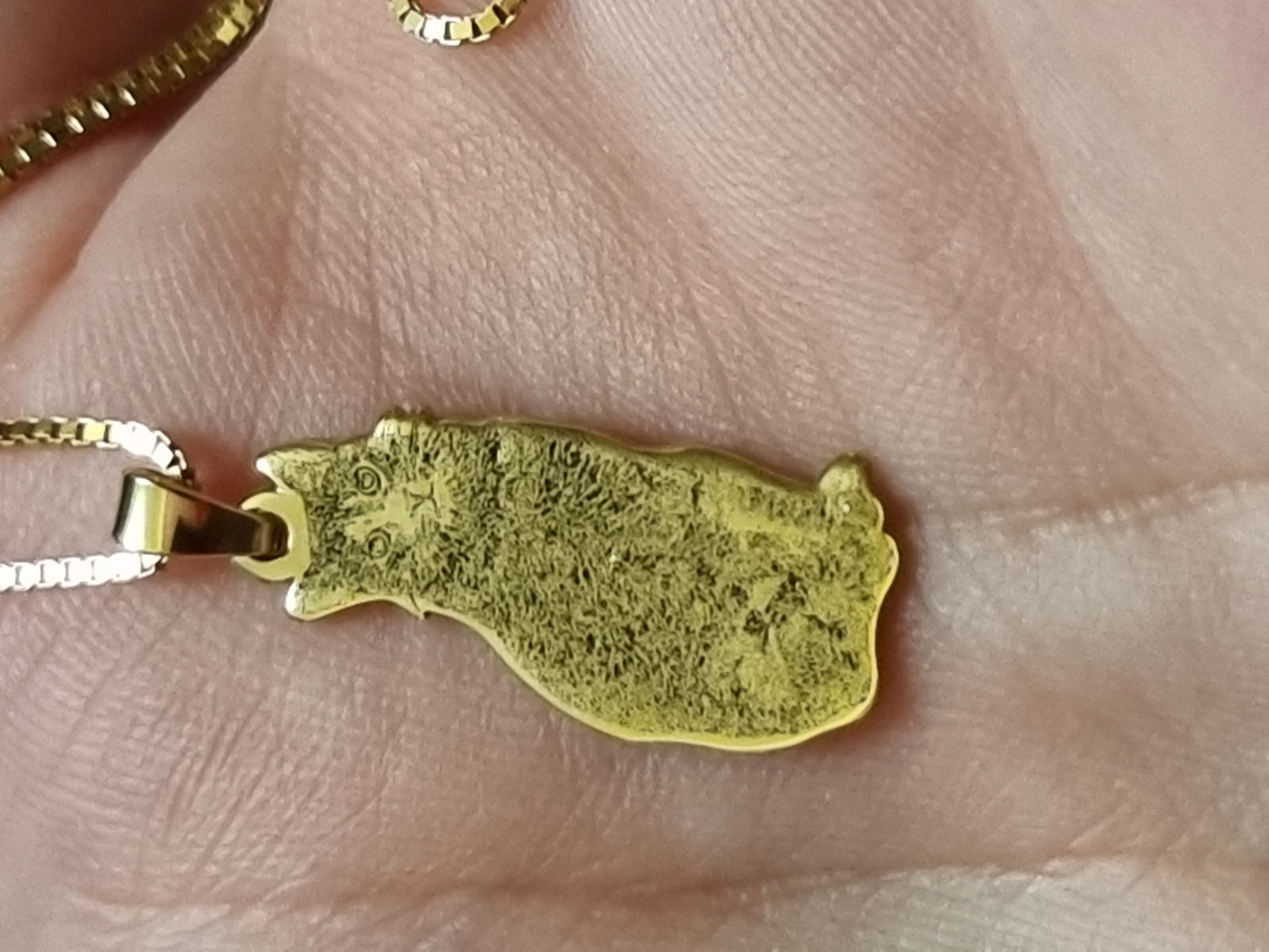 Recenzie Lantisor pisica iubita - Personalizare cu poza - Argint 925 placat cu Aur Galben 18K - Casandra S.