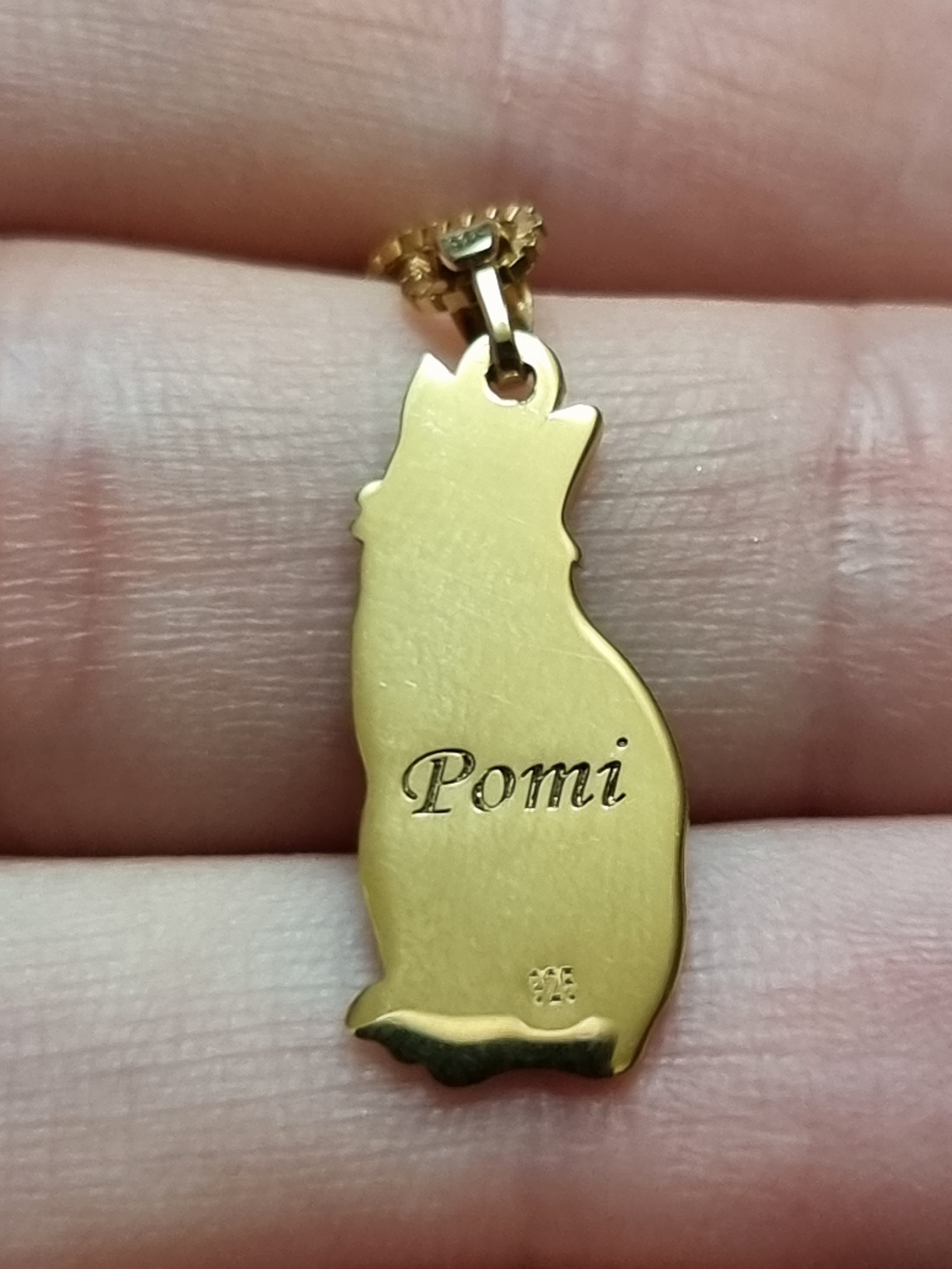 Recenzie Lantisor pisica iubita - Personalizare cu poza - Argint 925 placat cu Aur Galben 18K - Casandra S.