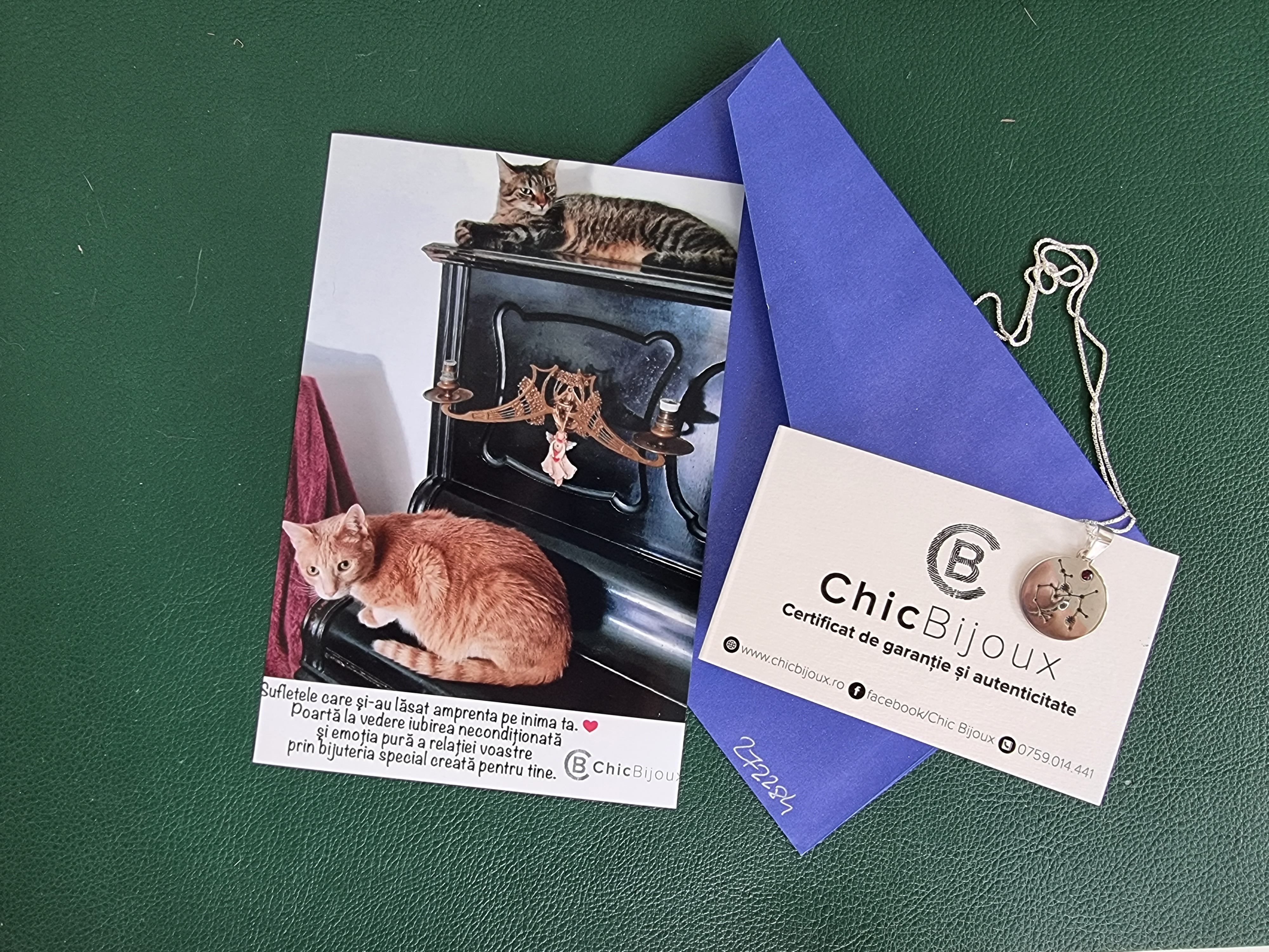 Recenzie Lantisor personalizat - Constelatia ta - Argint 925 - Cristal Swarovski - Ioana C.
