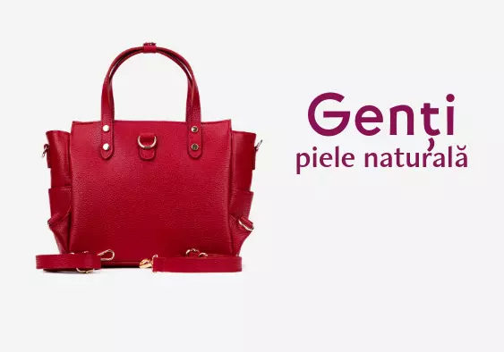 Genti din piele Colectia 2025