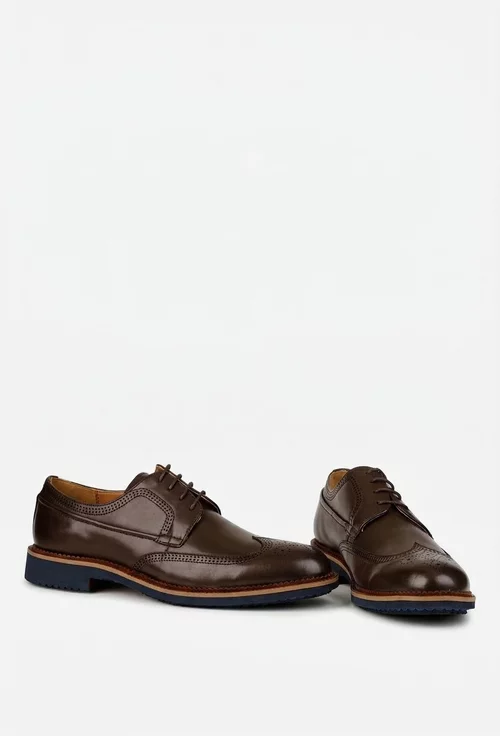 Pantofi barbati din piele naturala maro