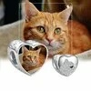 Сребърен талисман обичай снимка лъскава котка picture - 1
