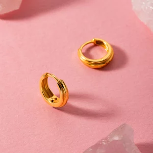 Cercei din argint Elegant Small Hoops