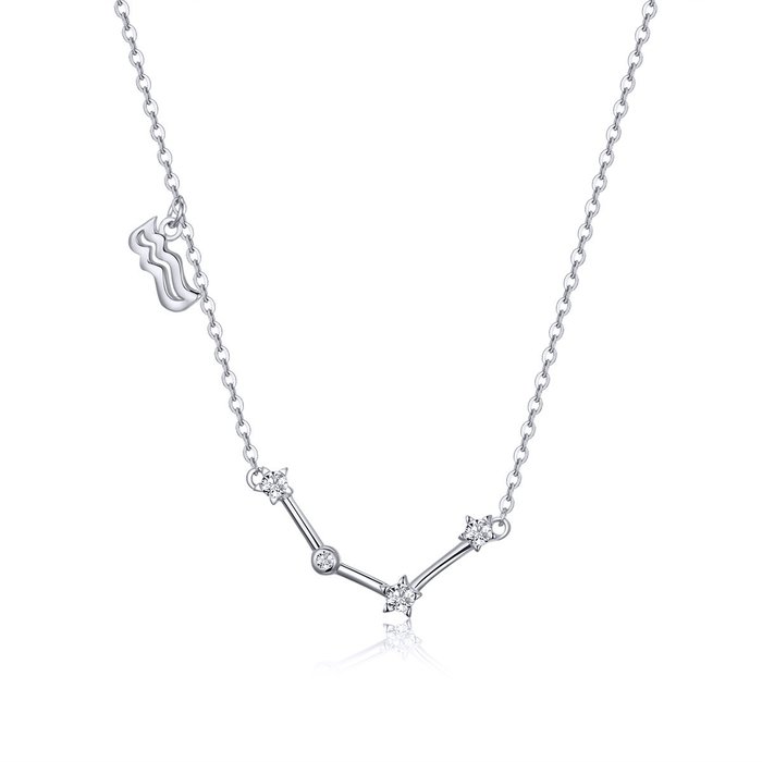 Colier din argint cu constelatia varsator silver