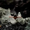 Inel din argint Rose Gold Serene Bliss Smoky Quartz picture - 2