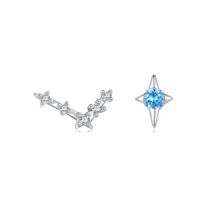 Cercei din argint Pisces Constellation