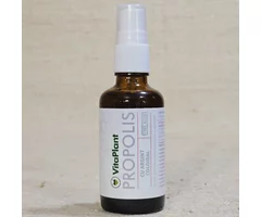 Natural spray with propolis and colloidal silver 50ml