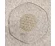 TC Energy plate with Gold flower of life 22cm