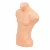 Bust Plastic Barbat picture - 2