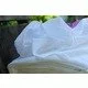 Cotton gauze fabric - Anuca White