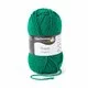 Acrylic yarn Bravo - Pine 08246